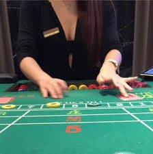 bzbet